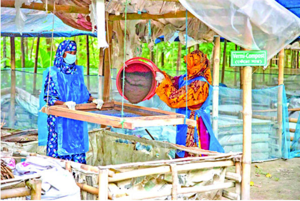 The Sustainable Transformation of Jiwla Ghoshpara