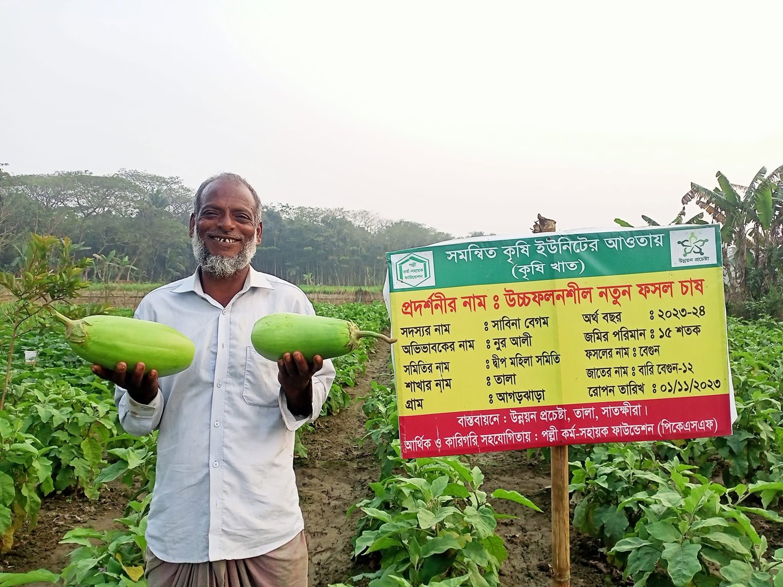 Field Day Organized on High-Yielding BARI Begun-12 Cultivation in Tala